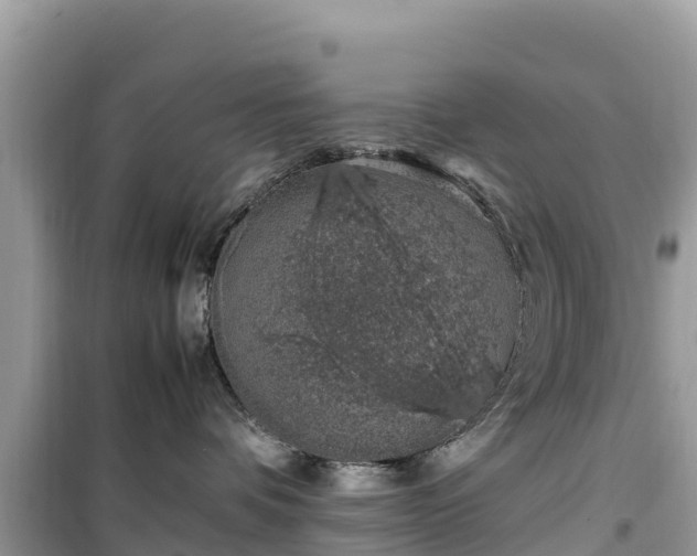 X0000099510336200805221427