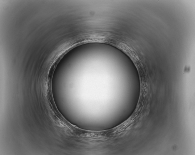 X0000099510338200805221427