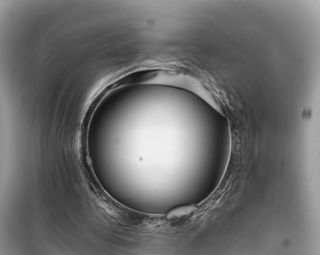 X0000099510340200805221427