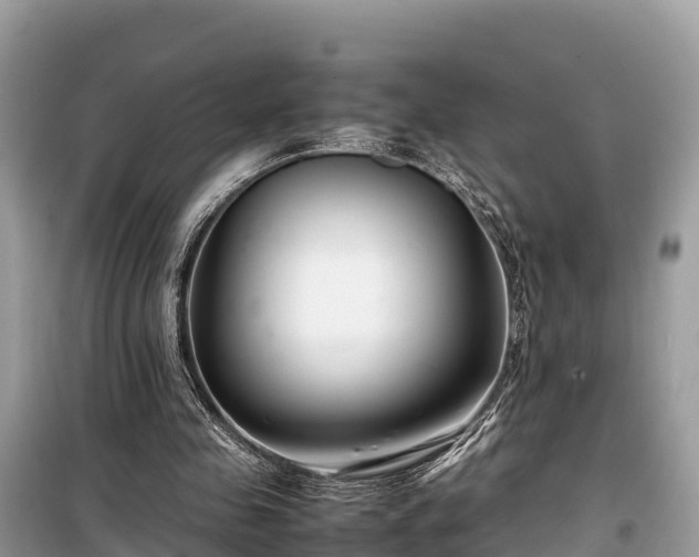 X0000099510341200805221427