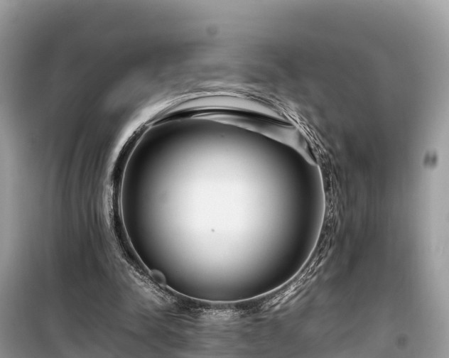 X0000099510342200805221427