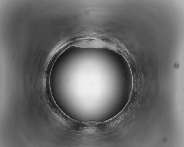 X0000099510344200805221427