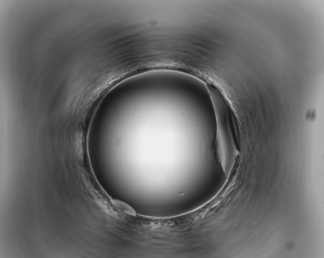X0000099510345200805221427