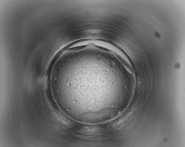 X0000099510351200805221427