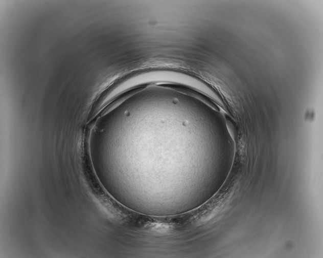 X0000099510352200805221427