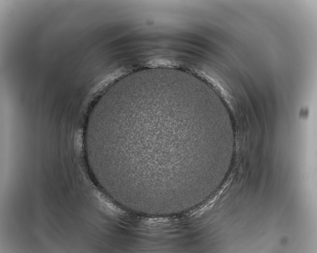 X0000099510353200805221427