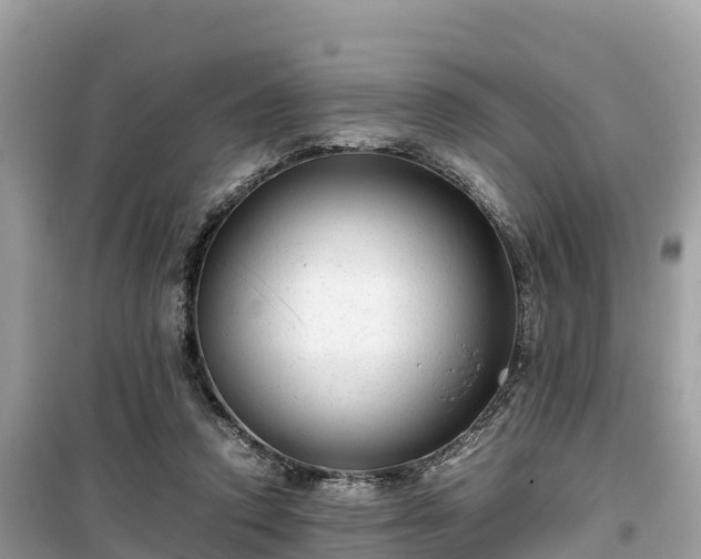 X0000099510354200805221427