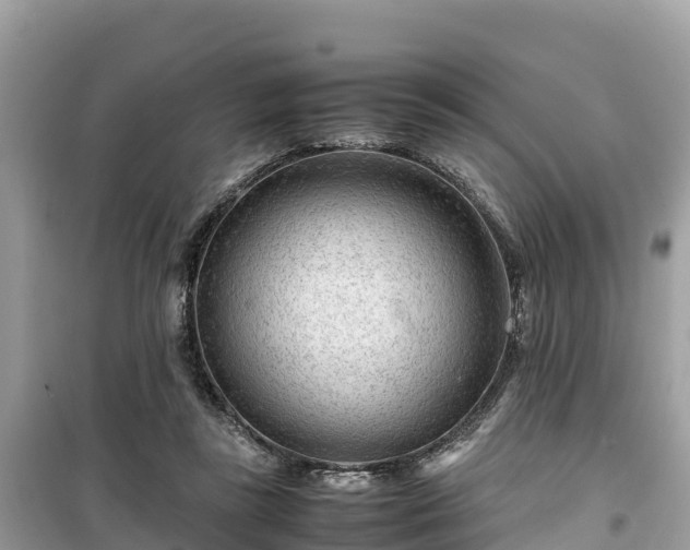 X0000099510355200805221427