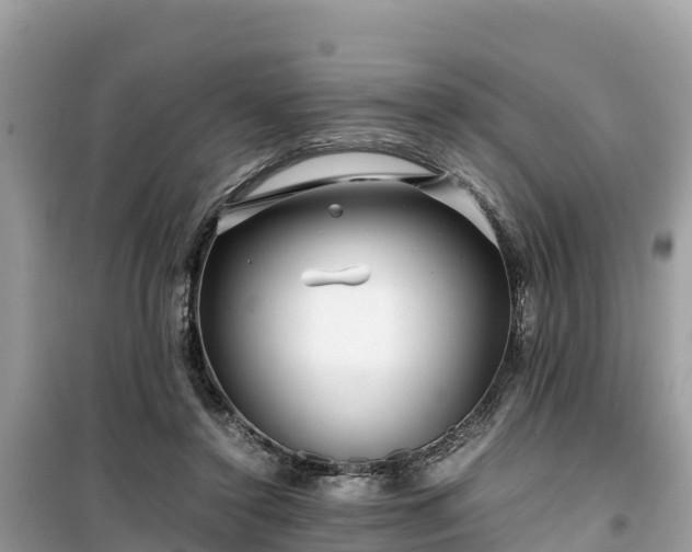 X0000099510356200805221427
