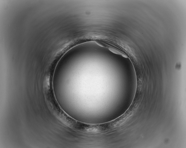 X0000099510358200805221427