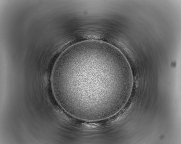 X0000099510359200805221427