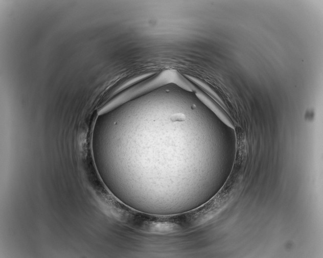 X0000099510360200805221427