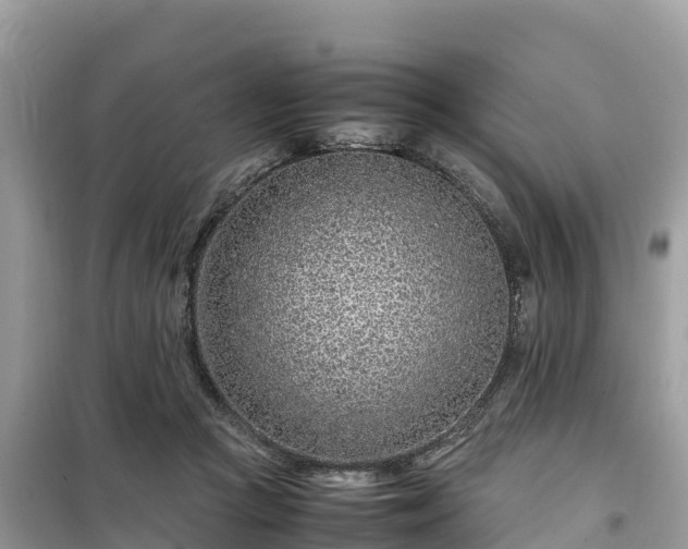 X0000099510361200805221427