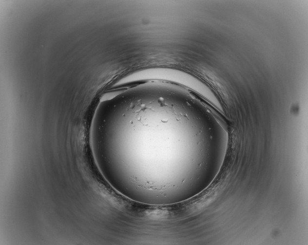 X0000099510362200805221427