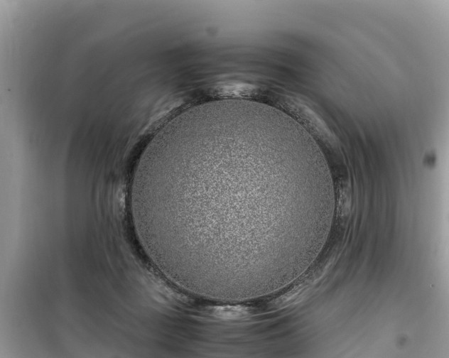 X0000099510363200805221427
