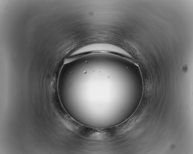 X0000099510364200805221427