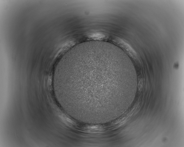 X0000099510365200805221427