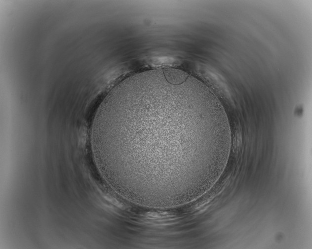 X0000099510367200805221427