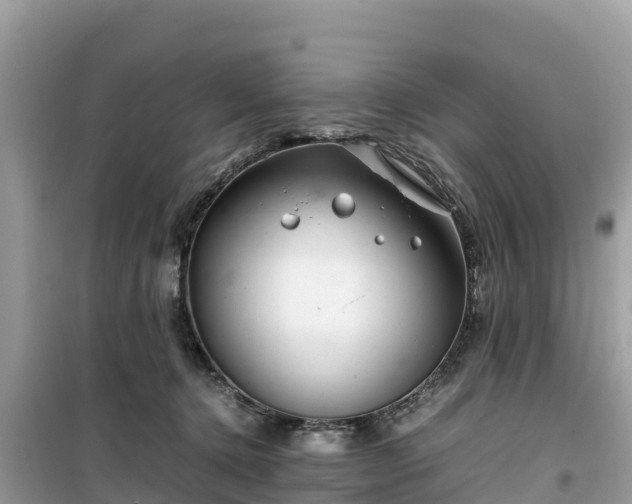 X0000099510368200805221427