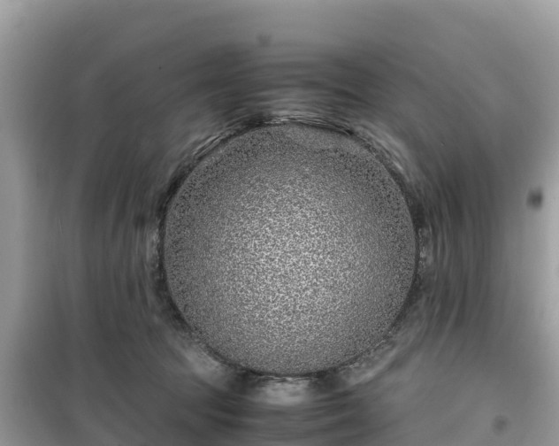 X0000099510369200805221427