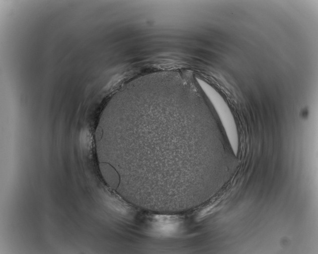 X0000099510371200805221427