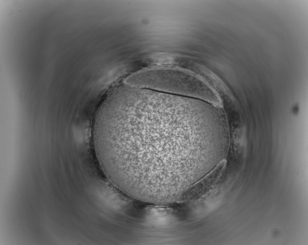 X0000099510372200805221427