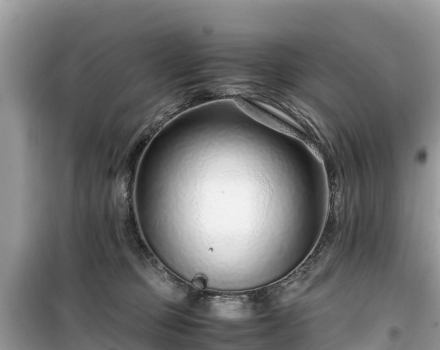X0000099510373200805221427