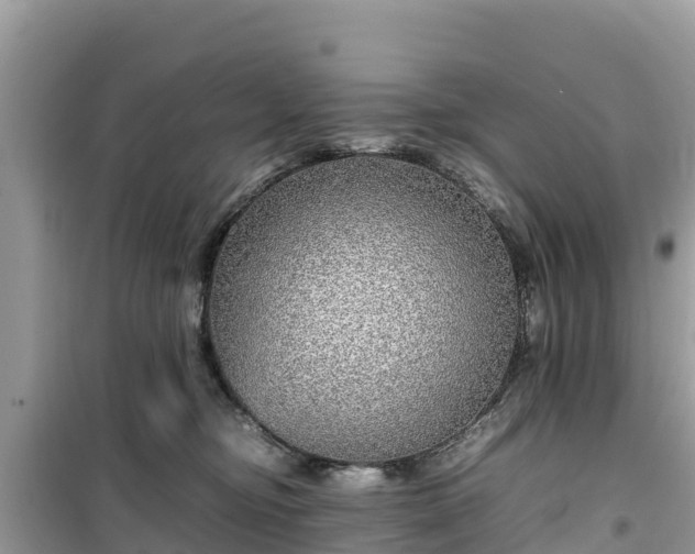 X0000099510374200805221427