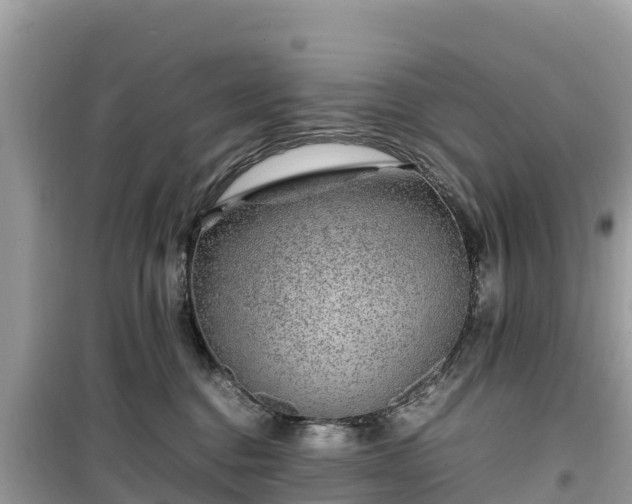 X0000099510376200805221427
