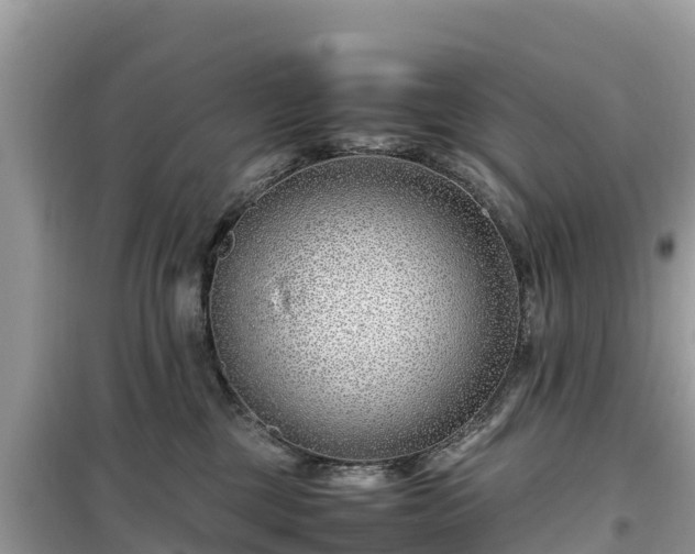 X0000099510377200805221427