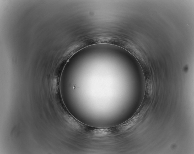 X0000099510378200805221427