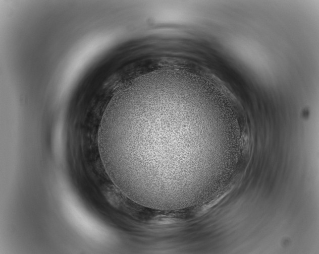 X0000099510381200805221427