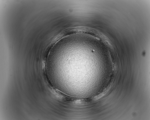 X0000099510382200805221427