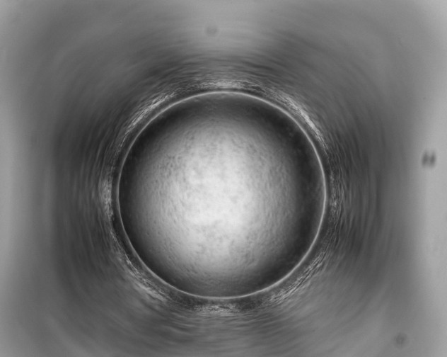 X0000099510386200805221427