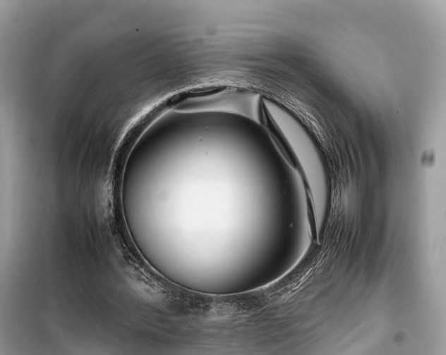 X0000099510388200805221427