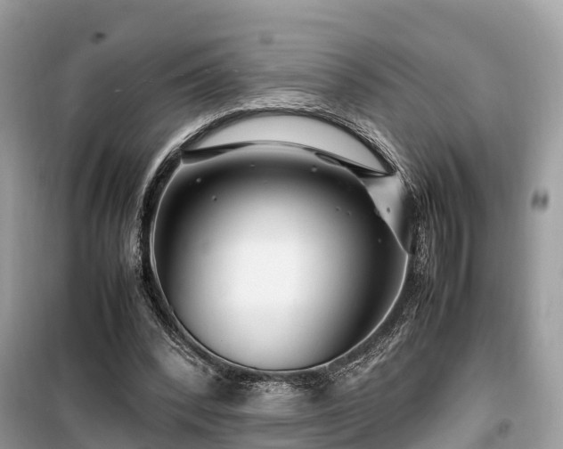 X0000099510392200805221427