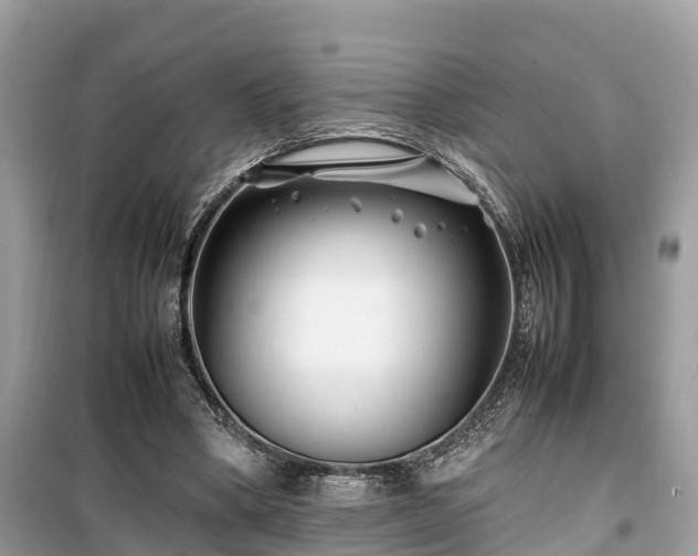 X0000099510394200805221427