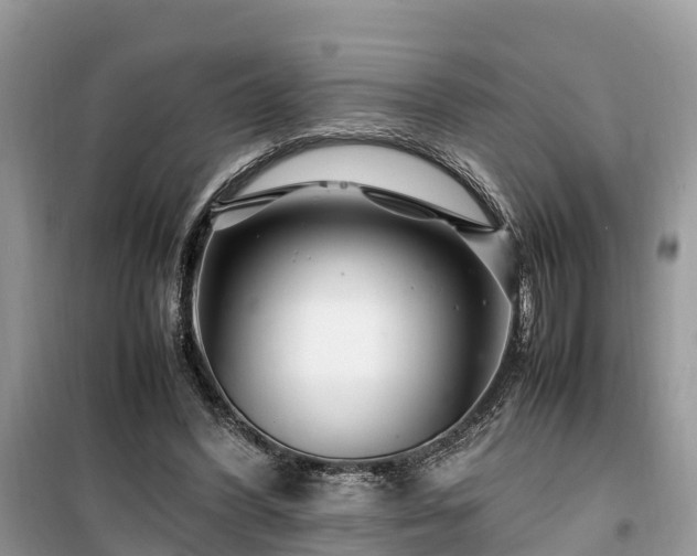X0000099510396200805221426