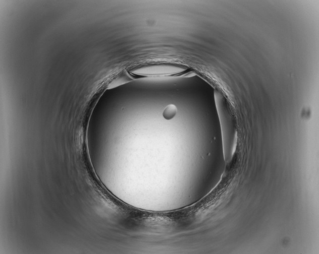 X0000099510397200805221426