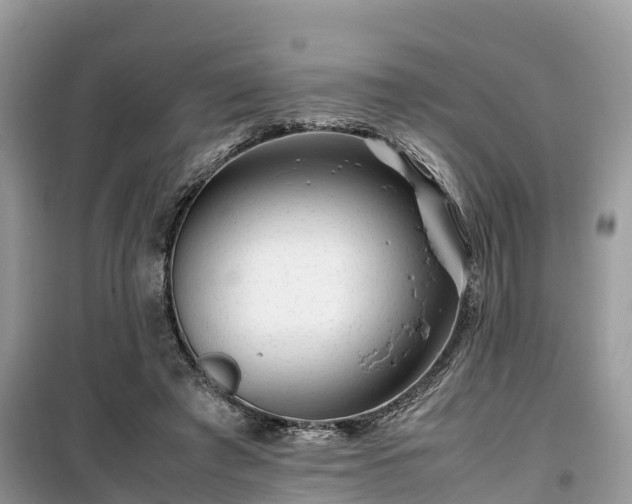 X0000099510401200805221426