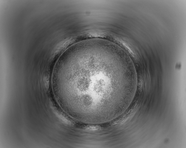 X0000099510402200805221426