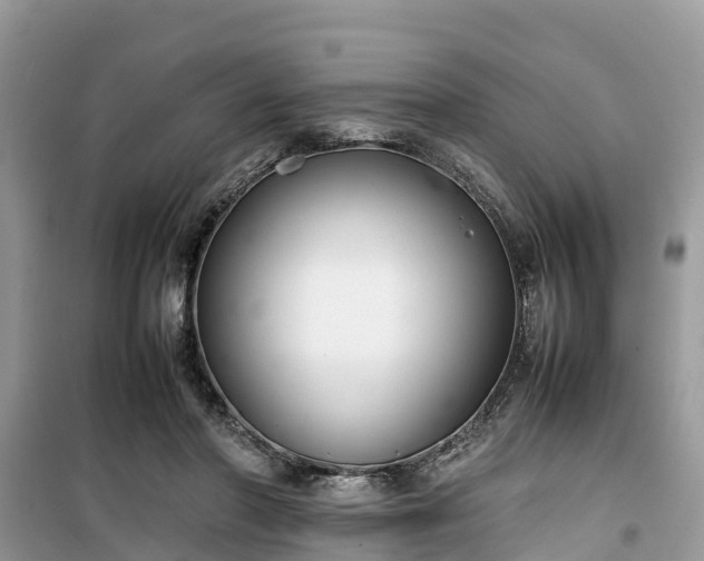 X0000099510406200805221426
