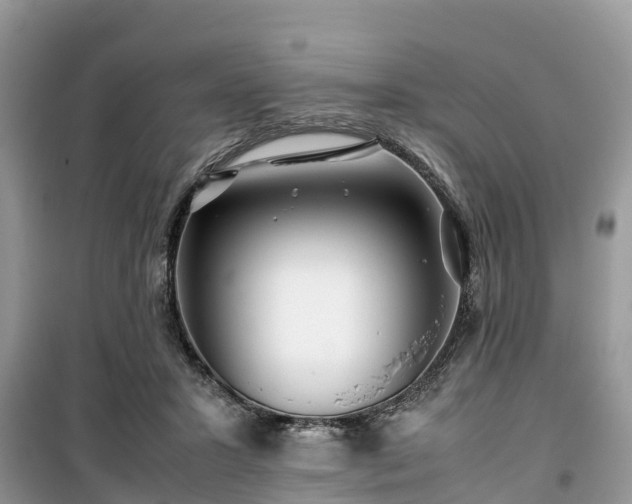 X0000099510407200805221426