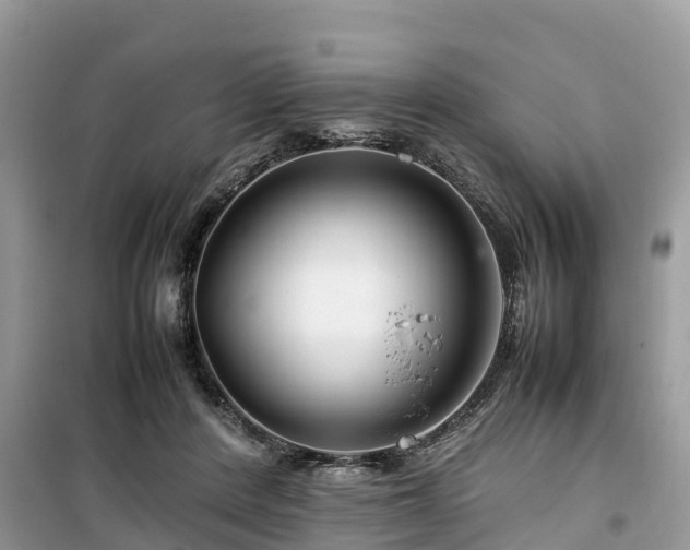X0000099510408200805221426