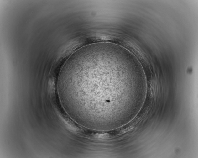 X0000099510410200805221426