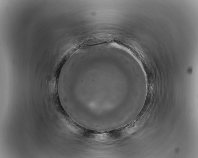 X0000099510411200805221426