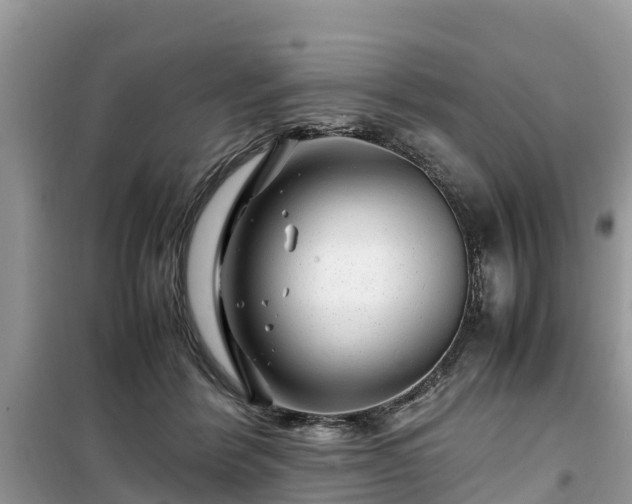 X0000099510412200805221426