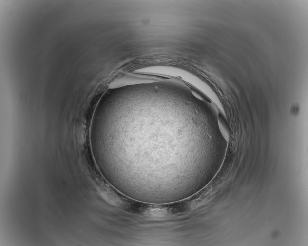 X0000099510413200805221426