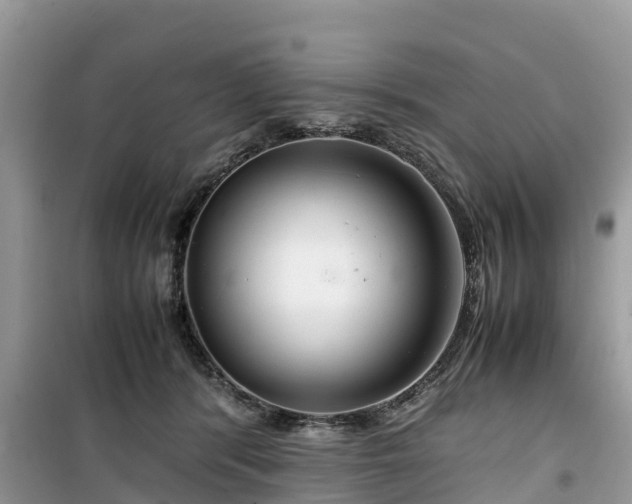 X0000099510416200805221426