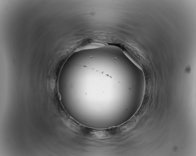 X0000099510417200805221426